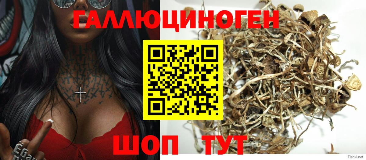 Гусев  Галлюциногенные грибы Cubensis  Галлюциногенные грибы Magic Shrooms  Вход с VPN 